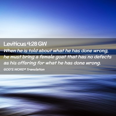 Picture 02 - Leviticus 4:28 GW - When he is told about what he has done wrong, he - Bible Verse Picture