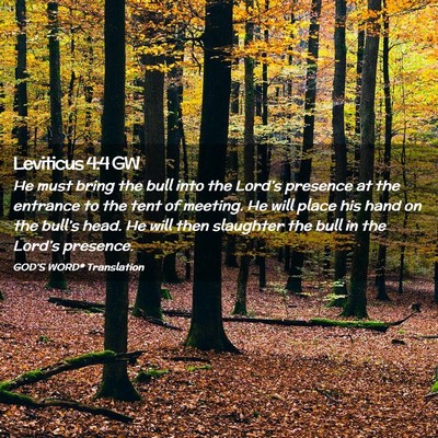 Picture 02 - Leviticus 4:4 GW - He must bring the bull into the Lord’s presence - Bible Verse Picture