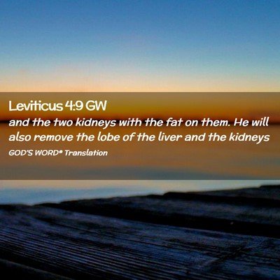 Picture 02 - Leviticus 4:9 GW - and the two kidneys with the fat on them. He will - Bible Verse Picture