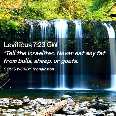 Picture 02 - Leviticus 7:23 GW - “Tell the Israelites: Never eat any fat from - Bible Verse Picture