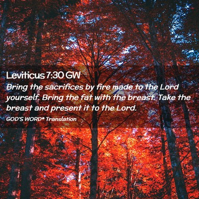 Picture 02 - Leviticus 7:30 GW - Bring the sacrifices by fire made to the Lord - Bible Verse Picture