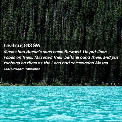Picture 02 - Leviticus 8:13 GW - Moses had Aaron’s sons come forward. He put - Bible Verse Picture