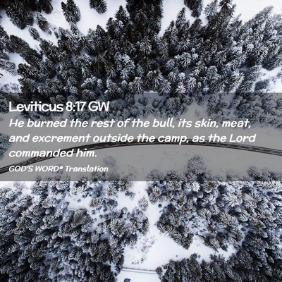 Picture 02 - Leviticus 8:17 GW - He burned the rest of the bull, its skin, meat, - Bible Verse Picture