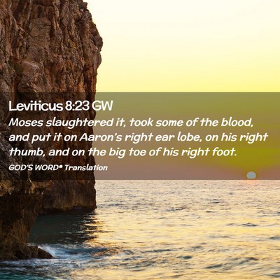 Picture 02 - Leviticus 8:23 GW - Moses slaughtered it, took some of the blood, and - Bible Verse Picture