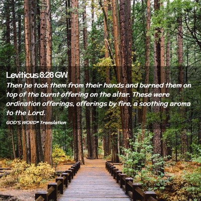 Picture 02 - Leviticus 8:28 GW - Then he took them from their hands and burned - Bible Verse Picture