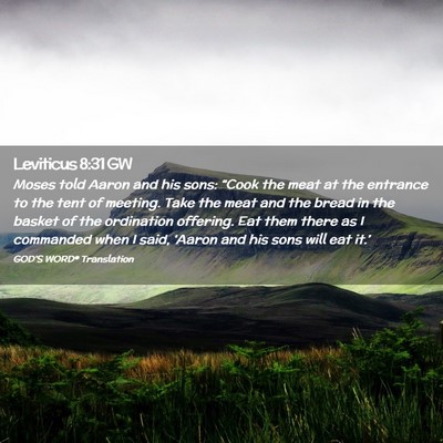 Picture 02 - Leviticus 8:31 GW - Moses told Aaron and his sons: “Cook the meat - Bible Verse Picture