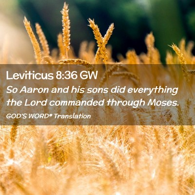 Picture 02 - Leviticus 8:36 GW - So Aaron and his sons did everything the Lord - Bible Verse Picture