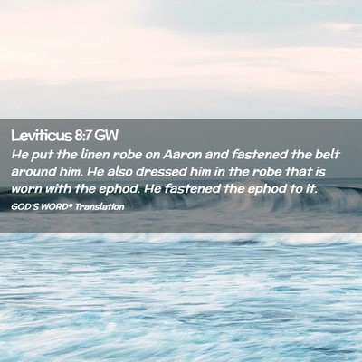 Picture 02 - Leviticus 8:7 GW - He put the linen robe on Aaron and fastened the - Bible Verse Picture