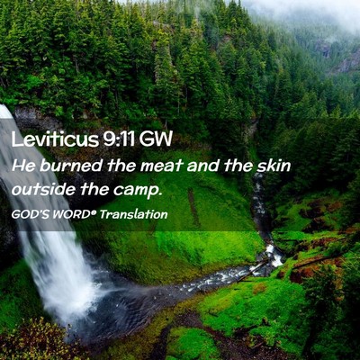 Picture 02 - Leviticus 9:11 GW - He burned the meat and the skin outside the - Bible Verse Picture