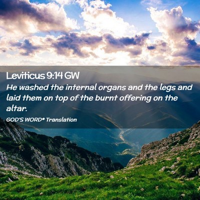Picture 02 - Leviticus 9:14 GW - He washed the internal organs and the legs and - Bible Verse Picture