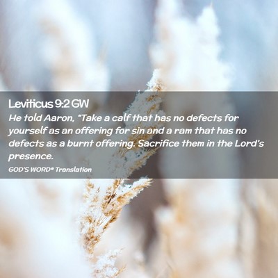 Picture 02 - Leviticus 9:2 GW - He told Aaron, “Take a calf that has no defects - Bible Verse Picture