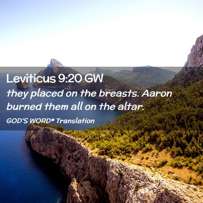 Picture 02 - Leviticus 9:20 GW - they placed on the breasts. Aaron burned them all - Bible Verse Picture