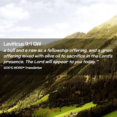 Picture 02 - Leviticus 9:4 GW - a bull and a ram as a fellowship offering, and a - Bible Verse Picture