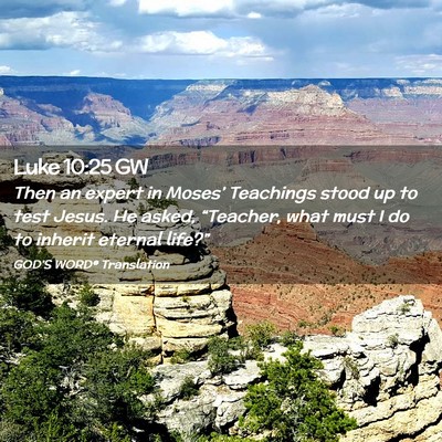 Picture 02 - Luke 10:25 GW - Then an expert in Moses’ Teachings stood up to - Bible Verse Picture