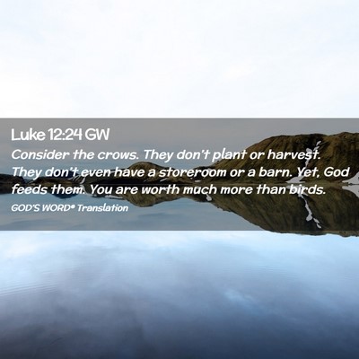 Picture 02 - Luke 12:24 GW - Consider the crows. They don’t plant or - Bible Verse Picture