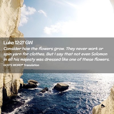 Picture 02 - Luke 12:27 GW - Consider how the flowers grow. They never work or - Bible Verse Picture