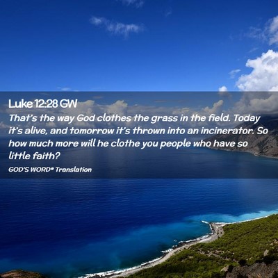 Picture 02 - Luke 12:28 GW - That’s the way God clothes the grass in the - Bible Verse Picture