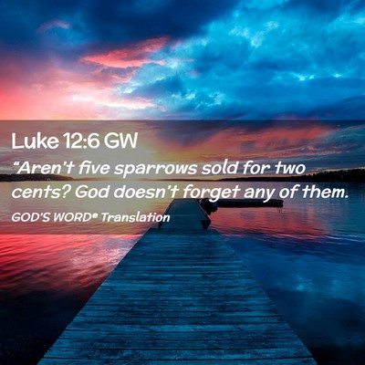 Picture 02 - Luke 12:6 GW - “Aren’t five sparrows sold for two cents? God - Bible Verse Picture