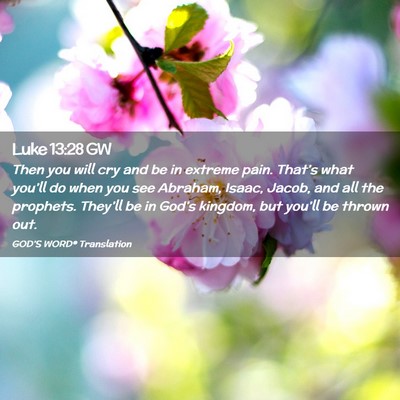 Picture 02 - Luke 13:28 GW - Then you will cry and be in extreme pain. - Bible Verse Picture