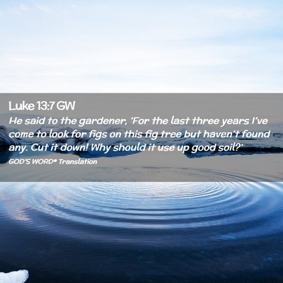 Picture 02 - Luke 13:7 GW - He said to the gardener, ‘For the last three - Bible Verse Picture