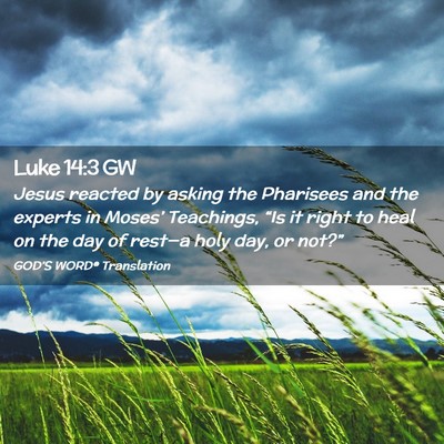 Picture 02 - Luke 14:3 GW - Jesus reacted by asking the Pharisees and the - Bible Verse Picture