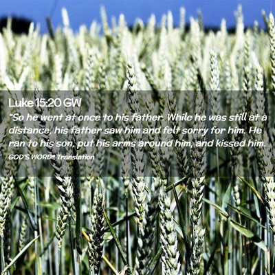 Picture 02 - Luke 15:20 GW - “So he went at once to his father. While he was - Bible Verse Picture