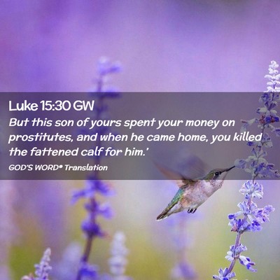 Picture 02 - Luke 15:30 GW - But this son of yours spent your money on - Bible Verse Picture