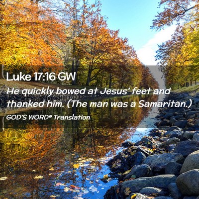 Picture 02 - Luke 17:16 GW - He quickly bowed at Jesus’ feet and thanked - Bible Verse Picture