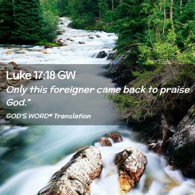 Picture 02 - Luke 17:18 GW - Only this foreigner came back to praise - Bible Verse Picture