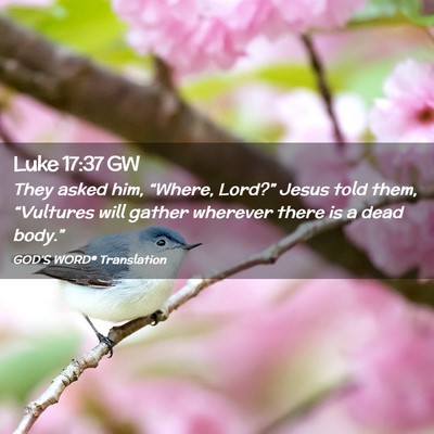 Picture 02 - Luke 17:37 GW - They asked him, “Where, Lord?” Jesus told - Bible Verse Picture
