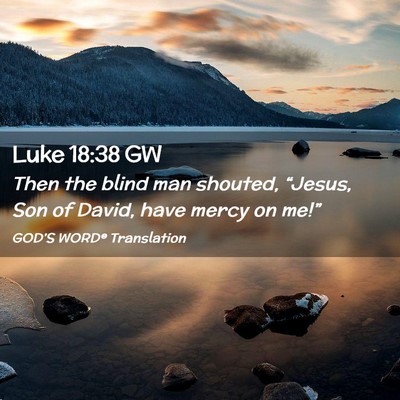 Picture 02 - Luke 18:38 GW - Then the blind man shouted, “Jesus, Son of - Bible Verse Picture