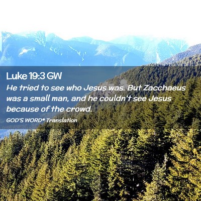 Picture 02 - Luke 19:3 GW - He tried to see who Jesus was. But Zacchaeus was - Bible Verse Picture