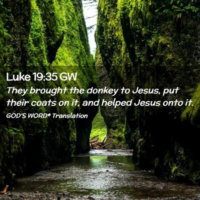 Picture 02 - Luke 19:35 GW - They brought the donkey to Jesus, put their coats - Bible Verse Picture