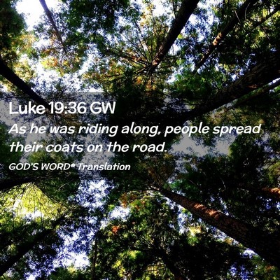 Picture 02 - Luke 19:36 GW - As he was riding along, people spread their coats - Bible Verse Picture