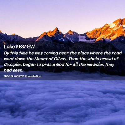 Picture 02 - Luke 19:37 GW - By this time he was coming near the place where - Bible Verse Picture