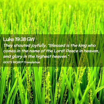 Picture 02 - Luke 19:38 GW - They shouted joyfully, “Blessed is the king who - Bible Verse Picture