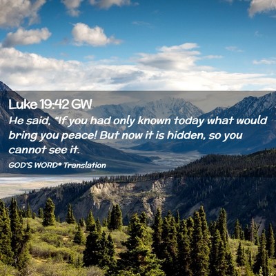 Picture 02 - Luke 19:42 GW - He said, “If you had only known today what - Bible Verse Picture