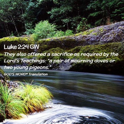 Picture 02 - Luke 2:24 GW - They also offered a sacrifice as required by the - Bible Verse Picture