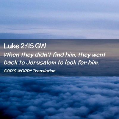 Picture 02 - Luke 2:45 GW - When they didn’t find him, they went back to - Bible Verse Picture