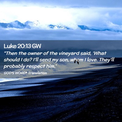 Picture 02 - Luke 20:13 GW - “Then the owner of the vineyard said, ‘What - Bible Verse Picture
