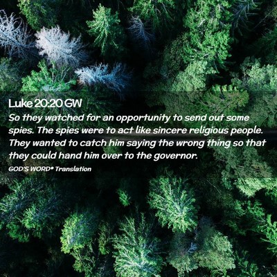 Picture 02 - Luke 20:20 GW - So they watched for an opportunity to send out - Bible Verse Picture