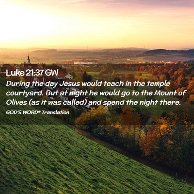 Picture 02 - Luke 21:37 GW - During the day Jesus would teach in the temple - Bible Verse Picture