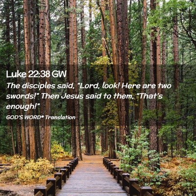 Picture 02 - Luke 22:38 GW - The disciples said, “Lord, look! Here are two - Bible Verse Picture