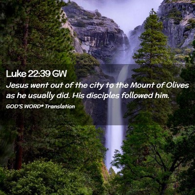 Picture 02 - Luke 22:39 GW - Jesus went out of the city to the Mount of Olives - Bible Verse Picture