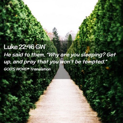 Picture 02 - Luke 22:46 GW - He said to them, “Why are you sleeping? Get up, - Bible Verse Picture