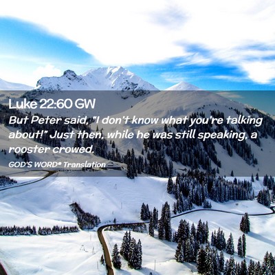Picture 02 - Luke 22:60 GW - But Peter said, “I don’t know what you’re - Bible Verse Picture