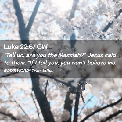 Picture 02 - Luke 22:67 GW - “Tell us, are you the Messiah?” Jesus said to - Bible Verse Picture