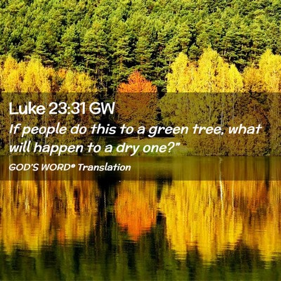 Picture 02 - Luke 23:31 GW - If people do this to a green tree, what will - Bible Verse Picture