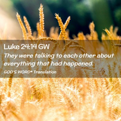 Picture 02 - Luke 24:14 GW - They were talking to each other about everything - Bible Verse Picture