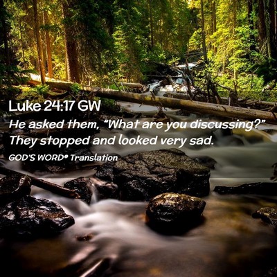 Picture 02 - Luke 24:17 GW - He asked them, “What are you discussing?” - Bible Verse Picture
